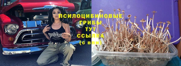 синтетический гашиш Белоозёрский